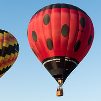 Buy canvas prints of Balloon Rides by David Semmens