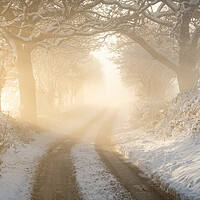 Buy canvas prints of Winter Walks by David Semmens
