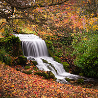 Buy canvas prints of Autumn Waterfall by David Semmens