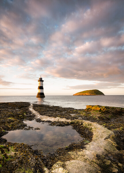 Penmon Lighthouse Picture Board by David Semmens