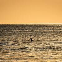 Buy canvas prints of Sunset Surfer Bali Indonesia by James Aston