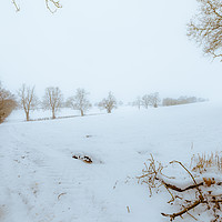 Buy canvas prints of Blizzard in a Field by James Aston