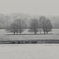 Buy canvas prints of Foggy Winters Morning by the Lake  by James Aston