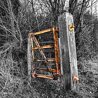 Buy canvas prints of Rusty old gate of Stanion Lodge Ironstone Quarry by James Aston