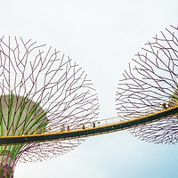 Buy canvas prints of Super-tree in Garden by the bay by Quang Nguyen Duc