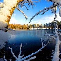 Buy canvas prints of Frozen Lake at winter time by lee retallic