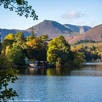 Buy canvas prints of Derwent Island Boathouse by Phil Page