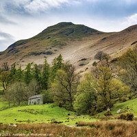 Buy canvas prints of Under Catbells by Phil Page