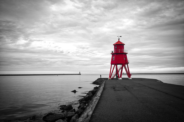 Herd Groyne Lighthouse in South Shields Picture Board by Phil Page