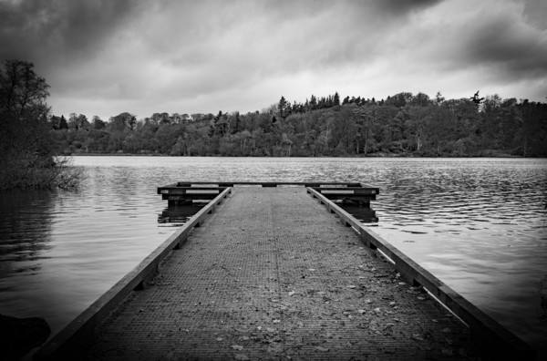 Bolam Lake in Northumberland Picture Board by Phil Page