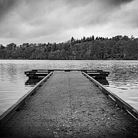 Buy canvas prints of Bolam Lake in Northumberland by Phil Page