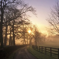 Buy canvas prints of January Sunrise In Hampshire by Geoff Richards