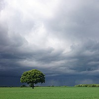 Buy canvas prints of Lonely Tree -  angry sky by Geoff Richards