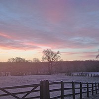 Buy canvas prints of Pink Winter Sky by Geoff Richards