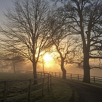 Buy canvas prints of Winter Sunrise In Hampshire  by Geoff Richards