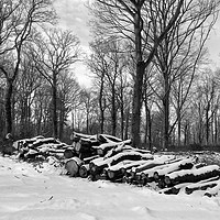 Buy canvas prints of Snow Logs In March by Geoff Richards