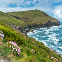 Buy canvas prints of Boscastle coast by Andrew Michael
