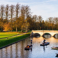 Buy canvas prints of Punting on river Cam by Andrew Michael