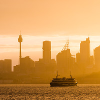 Buy canvas prints of Golden Sydney city skyline by Andrew Michael