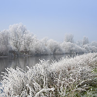 Buy canvas prints of Walk along a scenic river Severn on a frosty morni by Andrew Michael