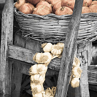 Buy canvas prints of A ring of Cloves of Garlic with pomegranates by Andrew Michael