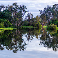 Buy canvas prints of Flooded wetlands during the wet season by Andrew Michael
