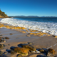 Buy canvas prints of Little Wategos Beach by Andrew Michael