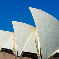 Buy canvas prints of Man at work at the top of one of Sydney Opera Hous by Andrew Michael