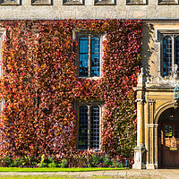 Buy canvas prints of Trinity College Great Court building with ivy by Andrew Michael