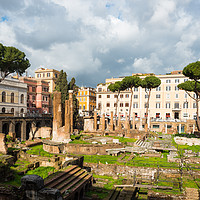 Buy canvas prints of Largo di Torre Argentina by Andrew Michael