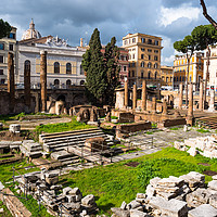 Buy canvas prints of Largo di Torre Argentina  by Andrew Michael