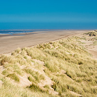Buy canvas prints of Holkham bay beach & Nature reserve by Andrew Michael