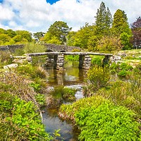 Buy canvas prints of Dartmoor clapper bridge by Andrew Michael