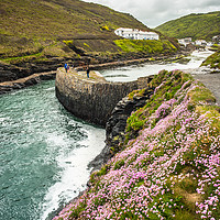 Buy canvas prints of Boscastle Spring time by Andrew Michael