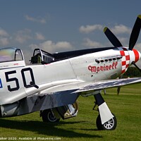 Buy canvas prints of Mustang P-51 marinell  by Geoff Walker