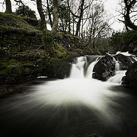 Buy canvas prints of Waterfall in the woods by Thomas Finch-Jones