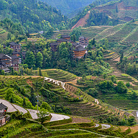 Buy canvas prints of Dragon Backbone's Rice Terraces by Claire Turner