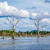 Buy canvas prints of Siem Reap Lake by Claire Turner