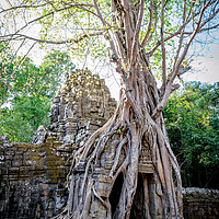 Buy canvas prints of Ta Som tree by Claire Turner