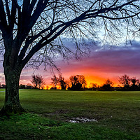 Buy canvas prints of The Downs Sunrise by Claire Turner