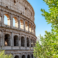 Buy canvas prints of Colosseum seen through the trees by Claire Turner