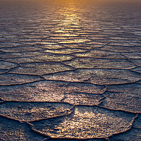 Buy canvas prints of Salt flat scales by Claire Turner