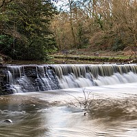 Buy canvas prints of River Frome at Snuff Mills by Claire Turner