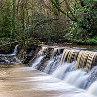 Buy canvas prints of Woodland waterfall  by Claire Turner