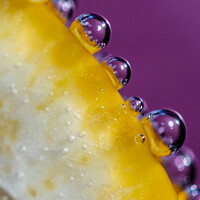 Buy canvas prints of Bubbles on Lemon #1 by Claire Turner