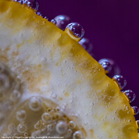 Buy canvas prints of Lemon on bubbles update #2 by Claire Turner