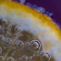 Buy canvas prints of Bubbles on lemon #3 by Claire Turner