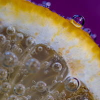 Buy canvas prints of Bubbles on lemon #4 by Claire Turner
