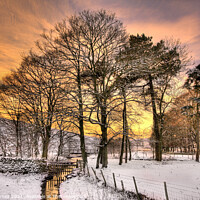 Buy canvas prints of A Stream Through The Snow, near Airton by Tom Holmes