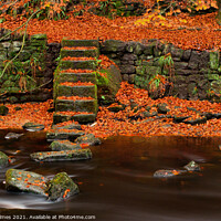 Buy canvas prints of Autumn On The River Side by Tom Holmes